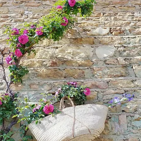 Chateau De La Venerie Bed & Breakfast *