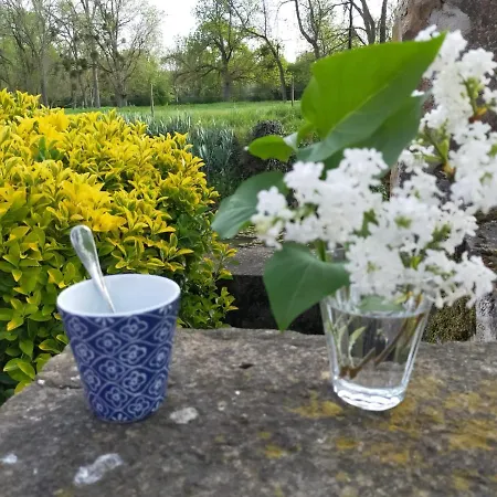 Chateau De La Venerie Bed & Breakfast