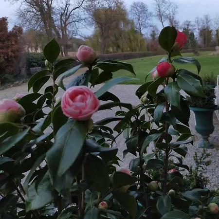 Chateau De La Venerie Bed & Breakfast