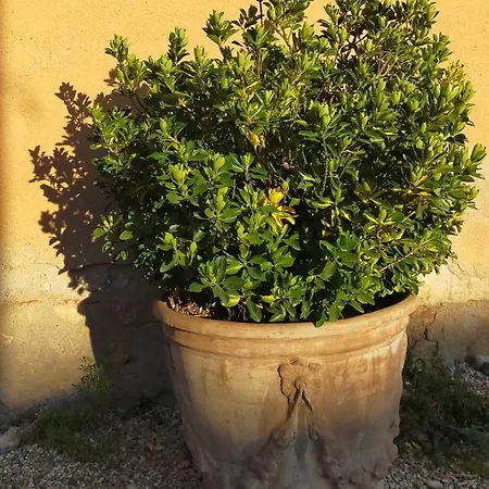 Bed & Breakfast Chateau De La Venerie Denice