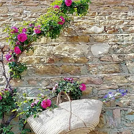 Chateau De La Venerie 3* Denice