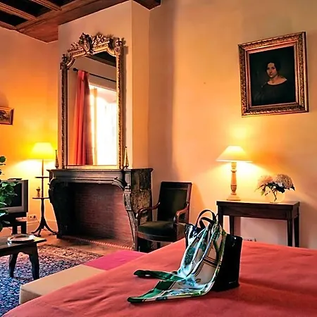 Château De La Venerie 3* Denicé